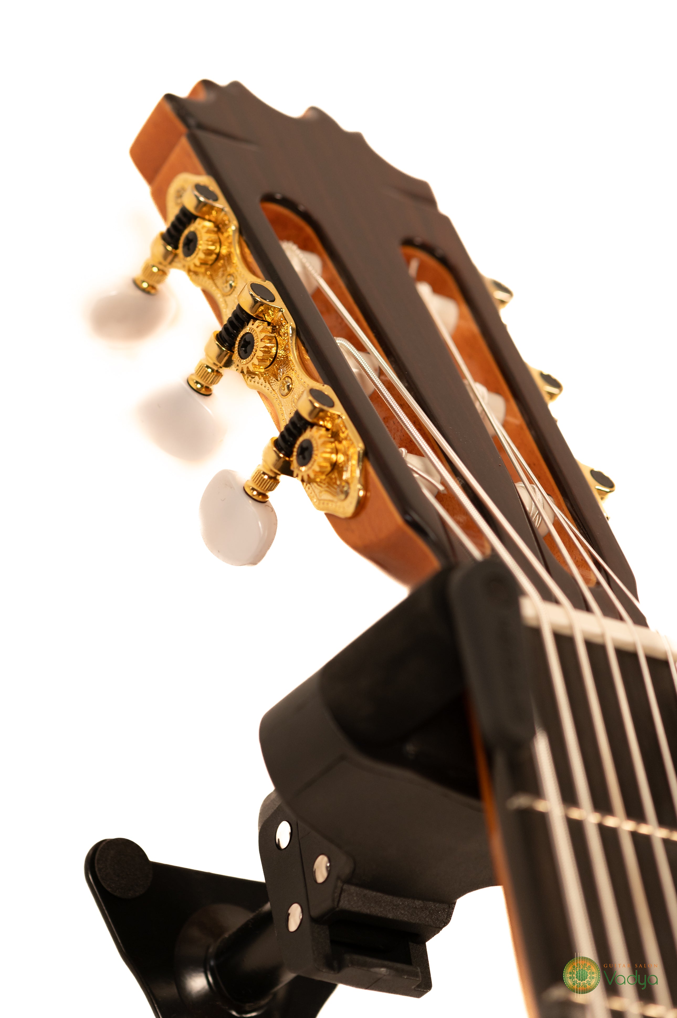 Vadya Bass