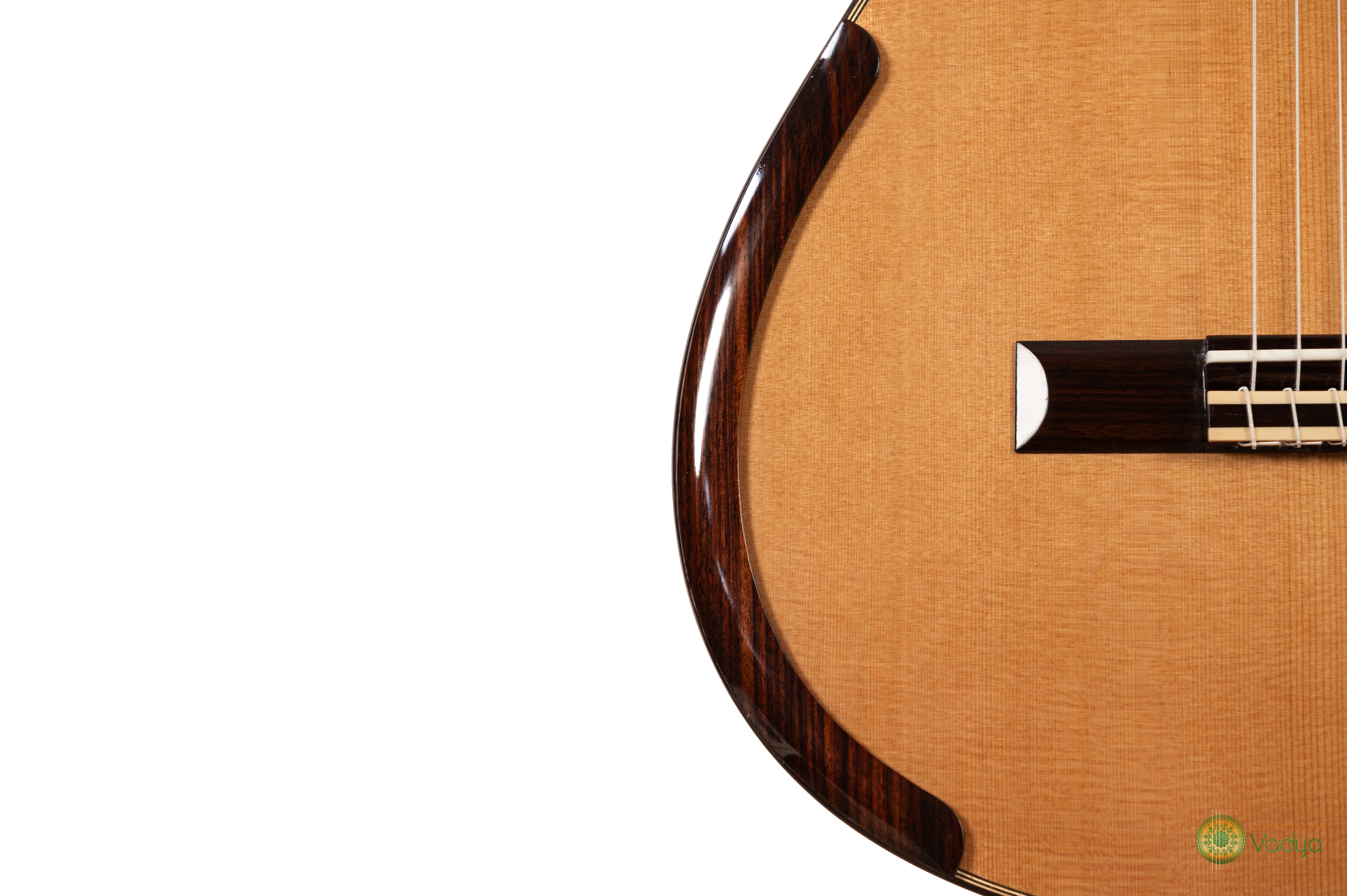 Jeff Sigurdson Double Top Guitar