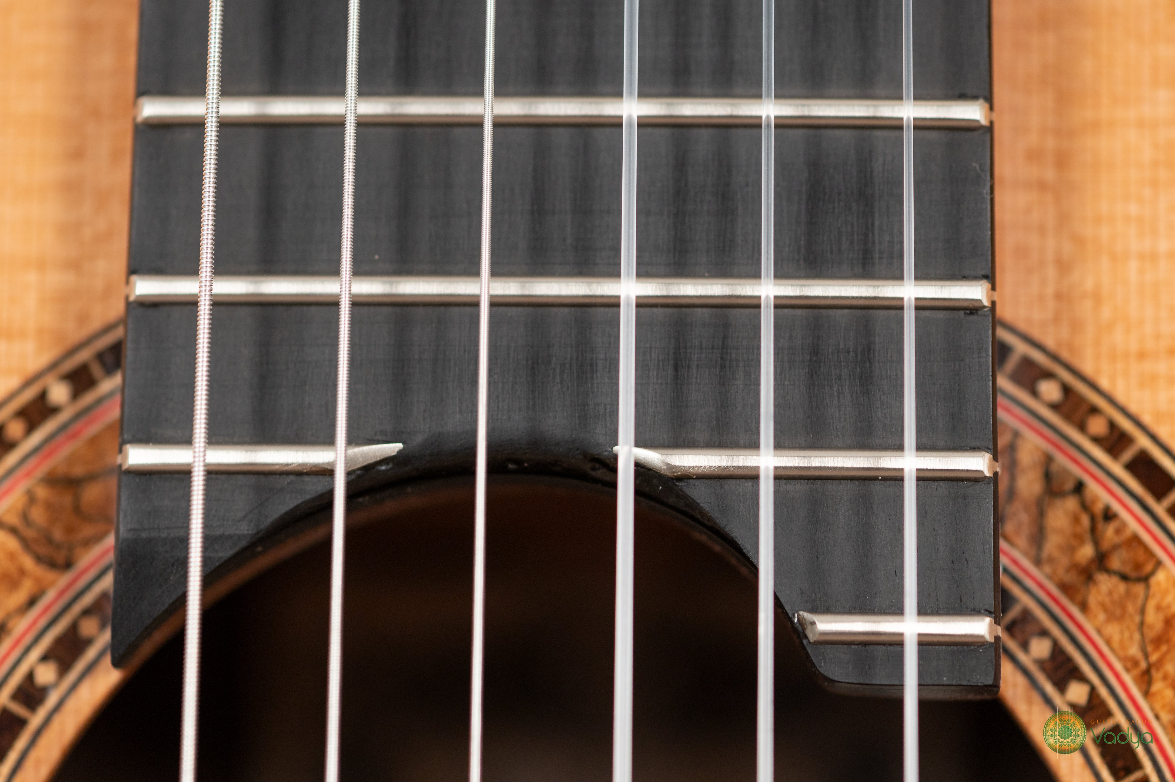 Jeff Sigurdson Double Top Guitar