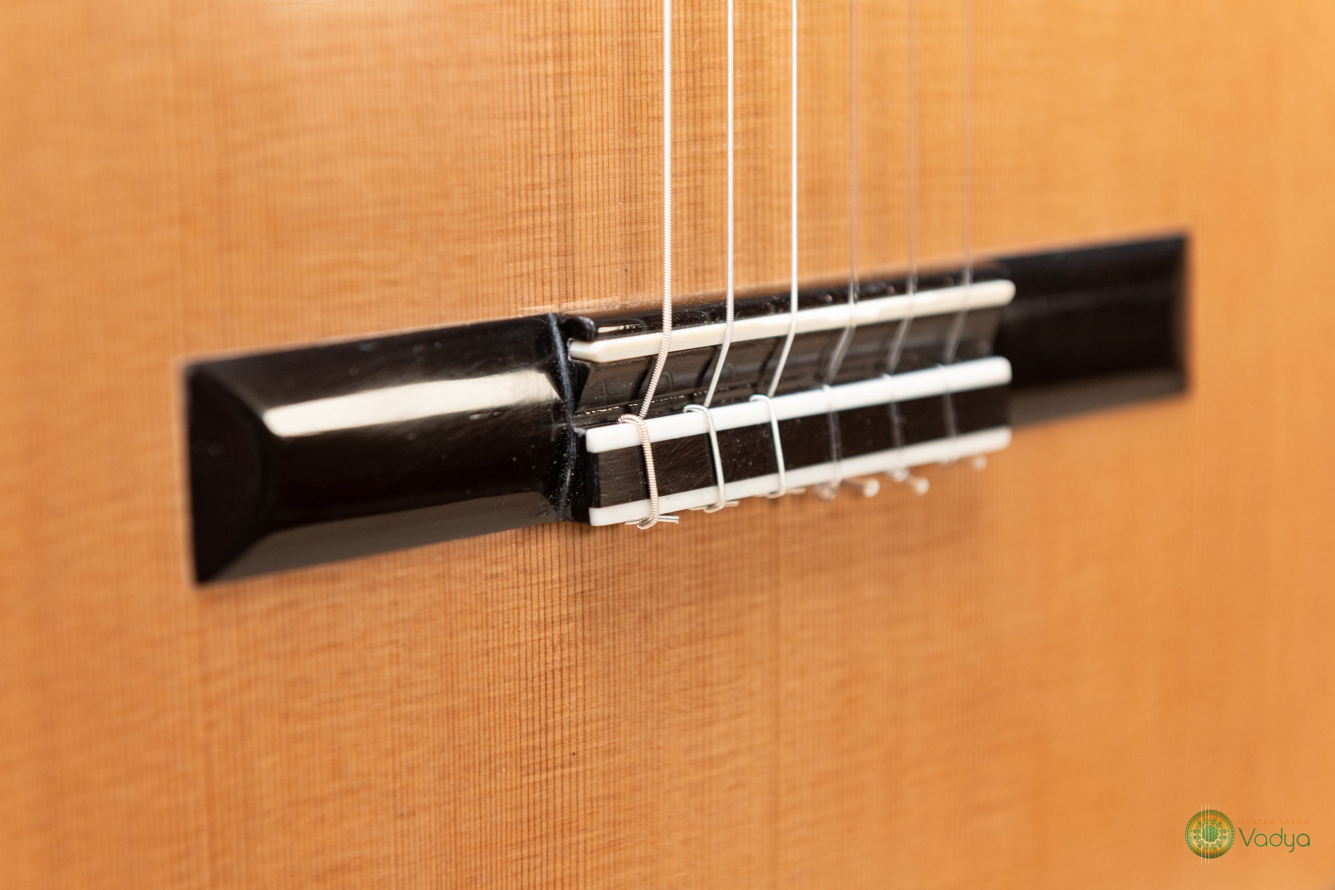 Kolya Panhuyzen, 2025 Lattice