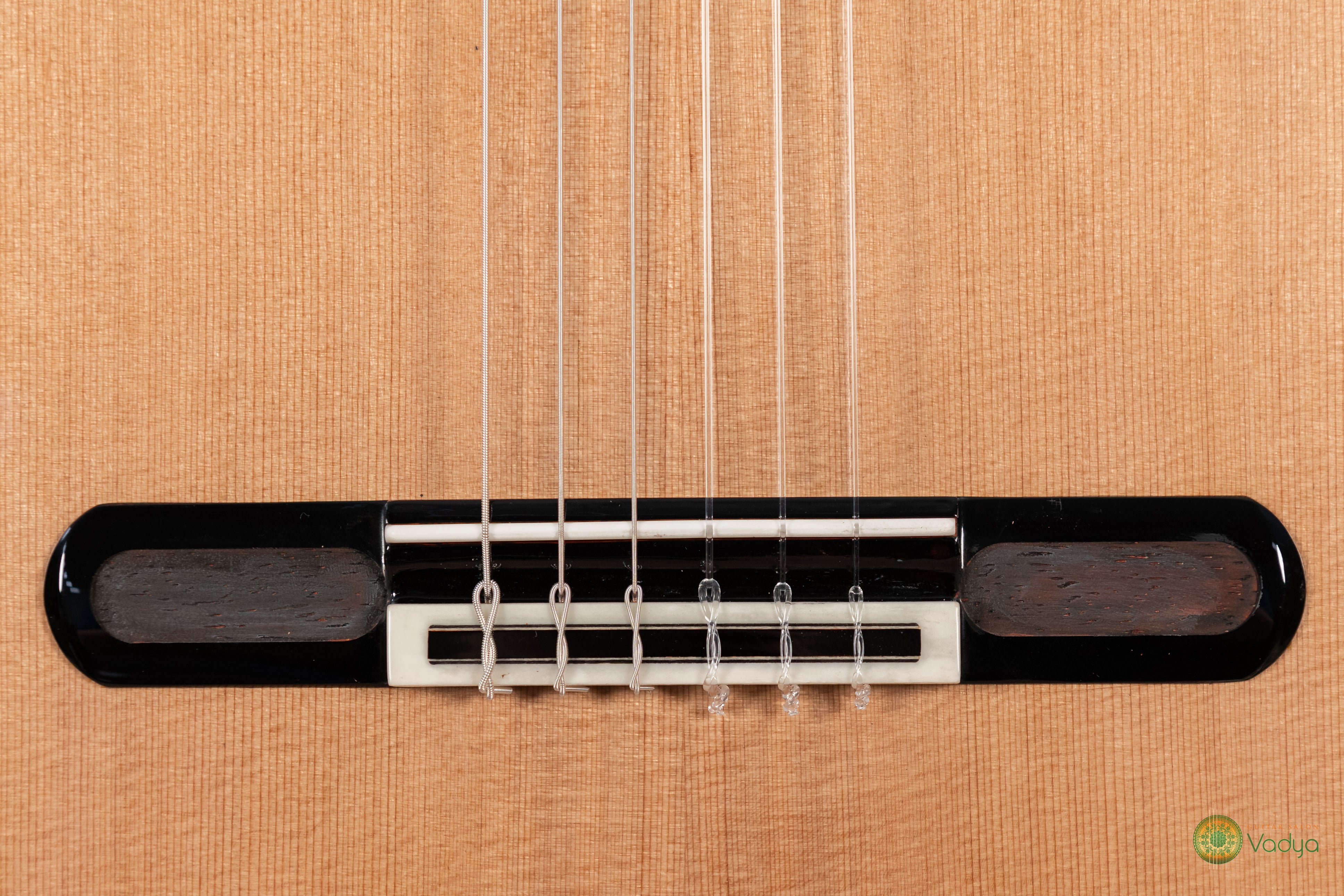 Yulong Guo Philharmonic Double Top Koncertna Kitara – Cedra / Indijski palisander