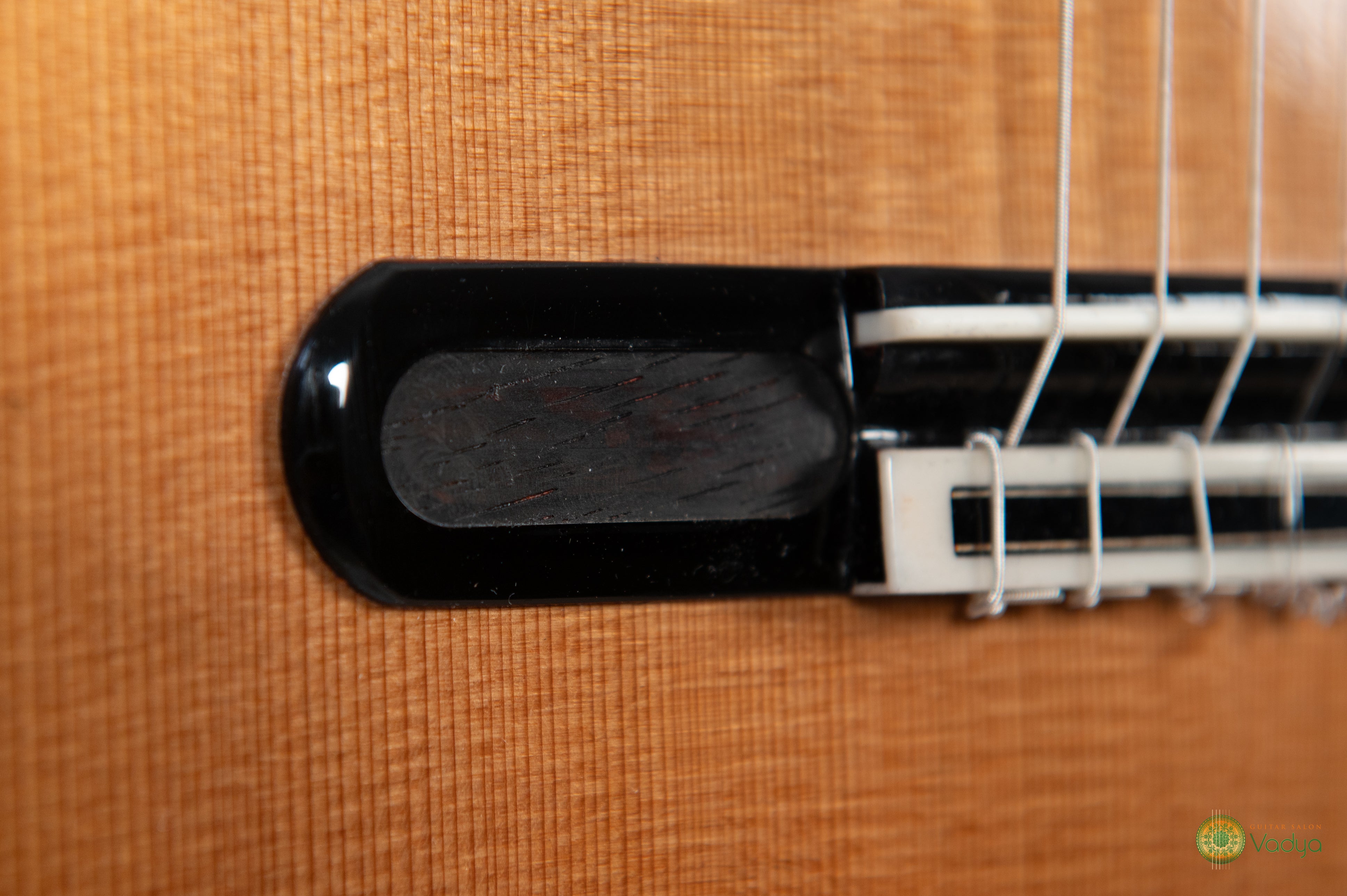 Yulong Guo - 2024 Chamber Concert - 40th Anniversary