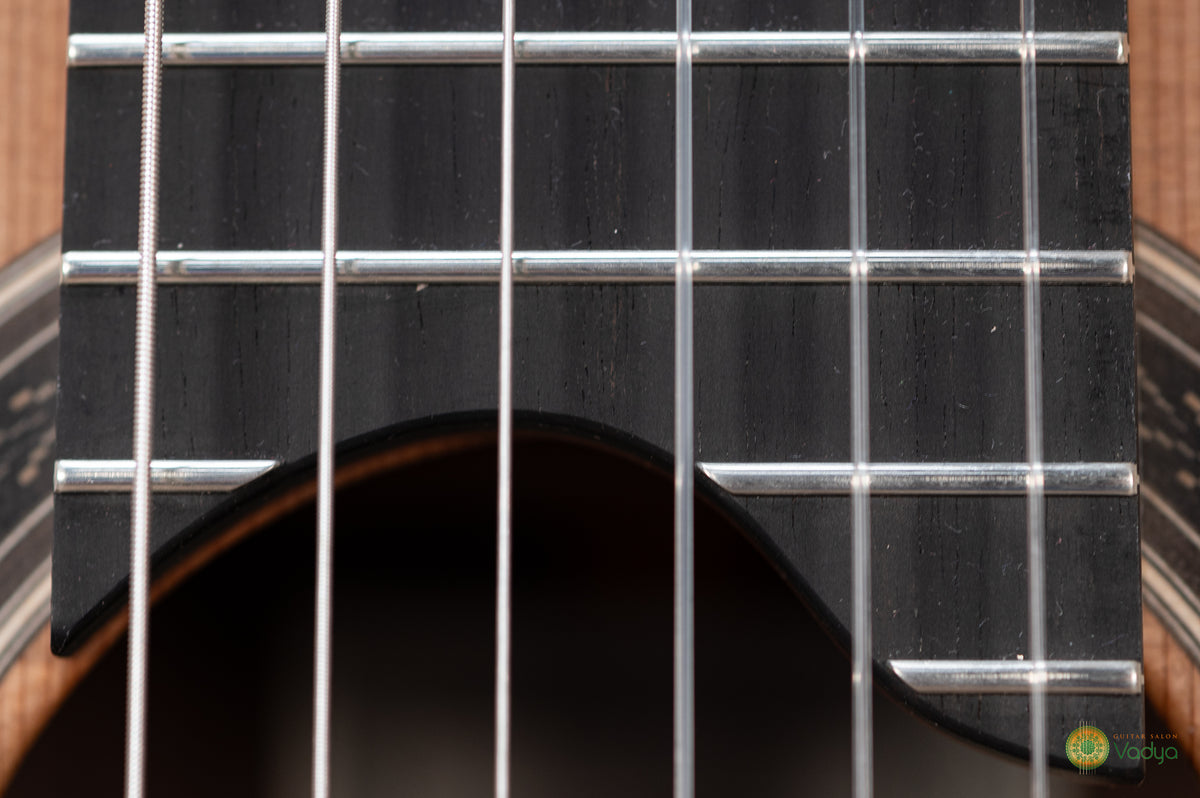 Zbigniew Gnatek 2026 Cedar Concert Guitar