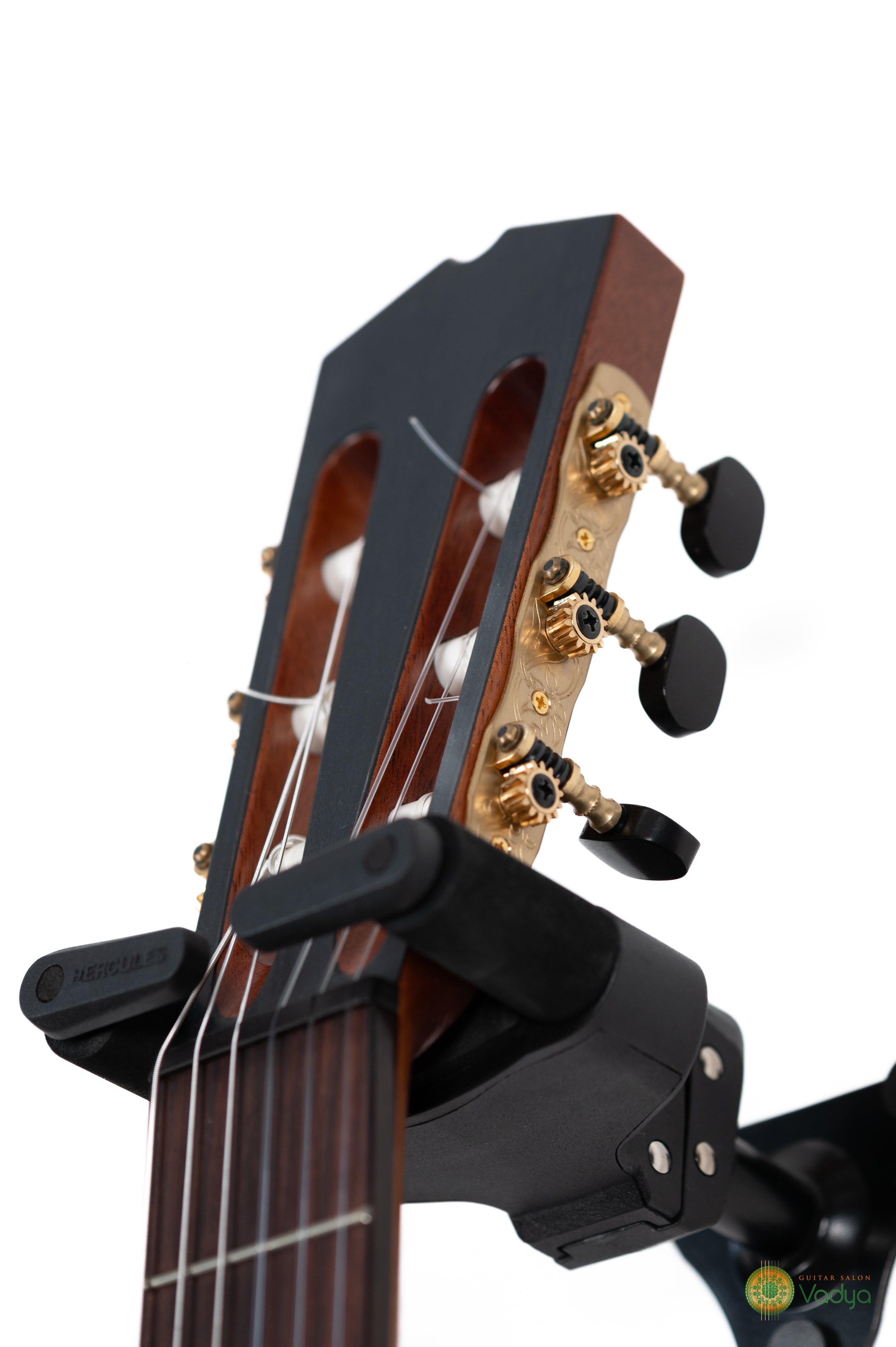 Giacomo Guadagna - Venere DT