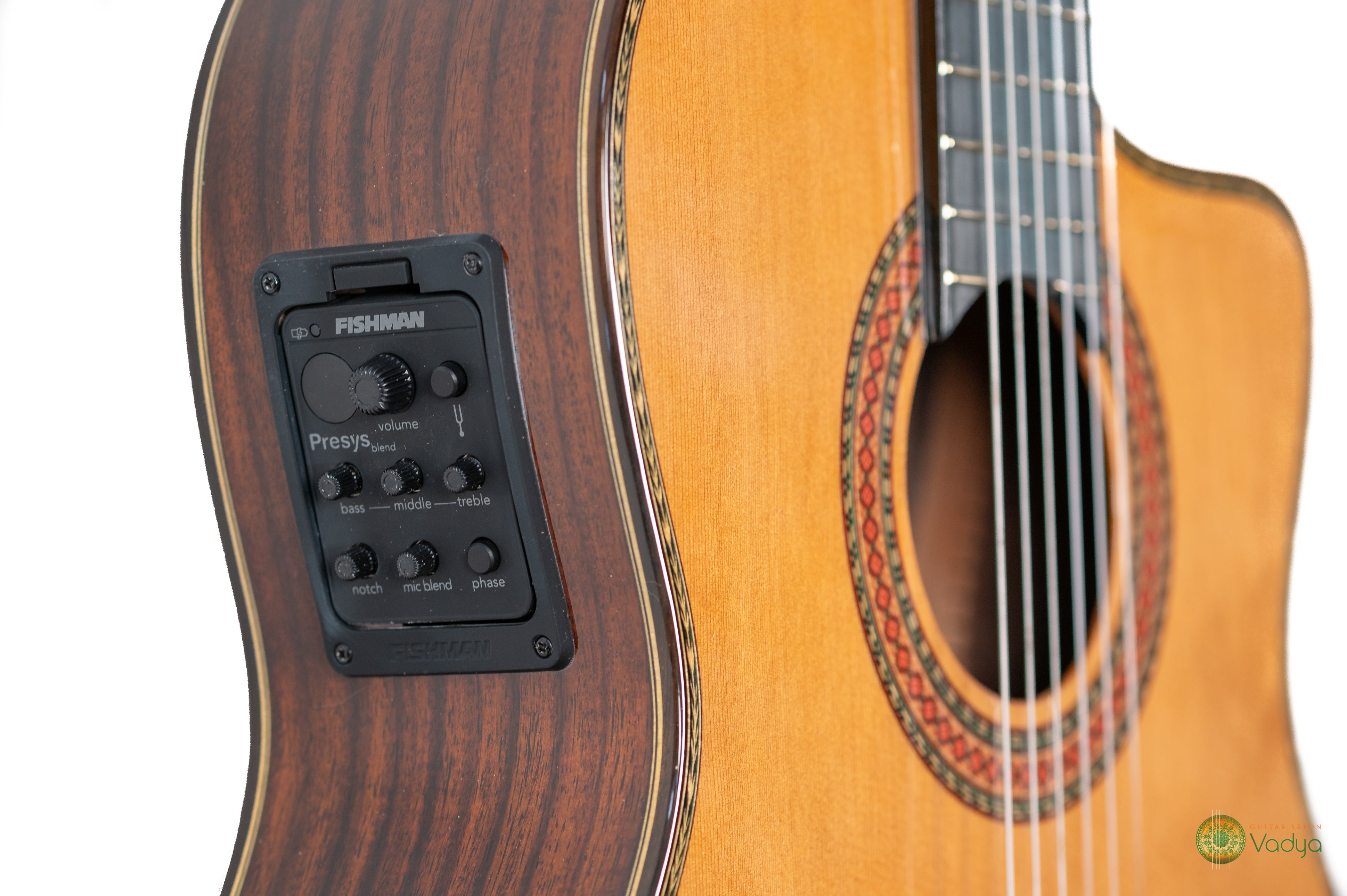 Antonio de Toledo E15 Cutaway with Fishman