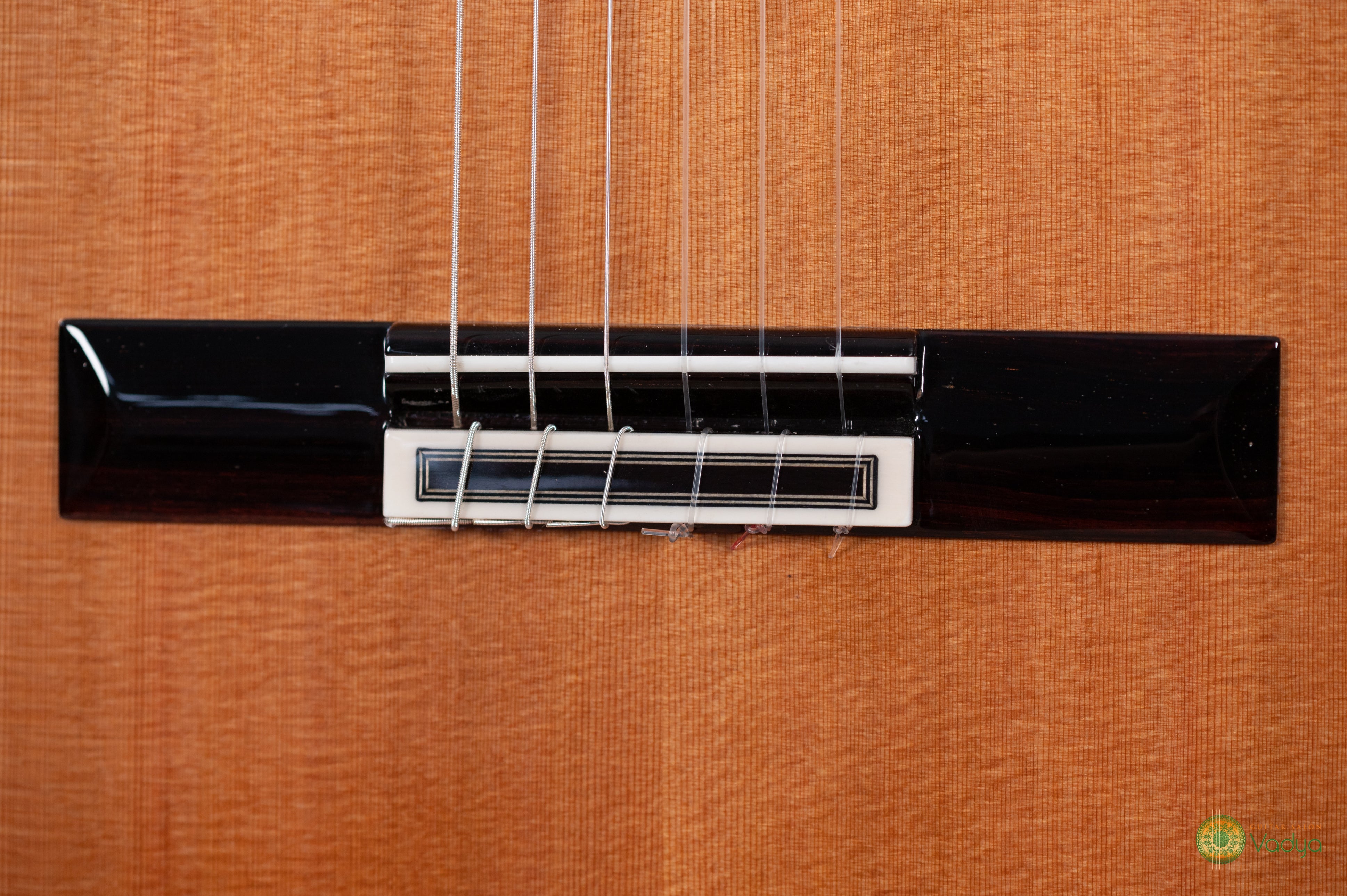 Vadya Virtuoso