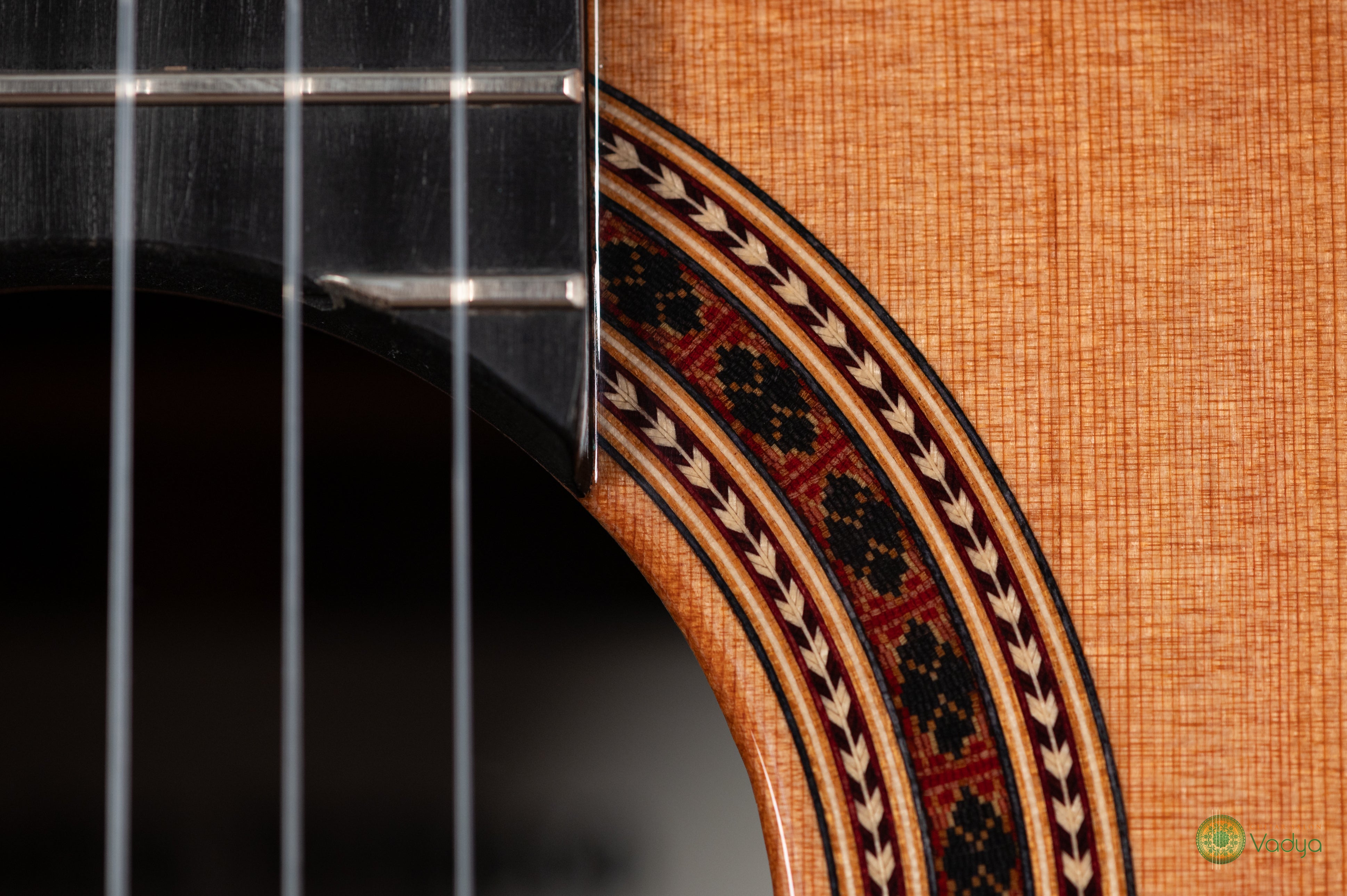 Vadya Virtuoso
