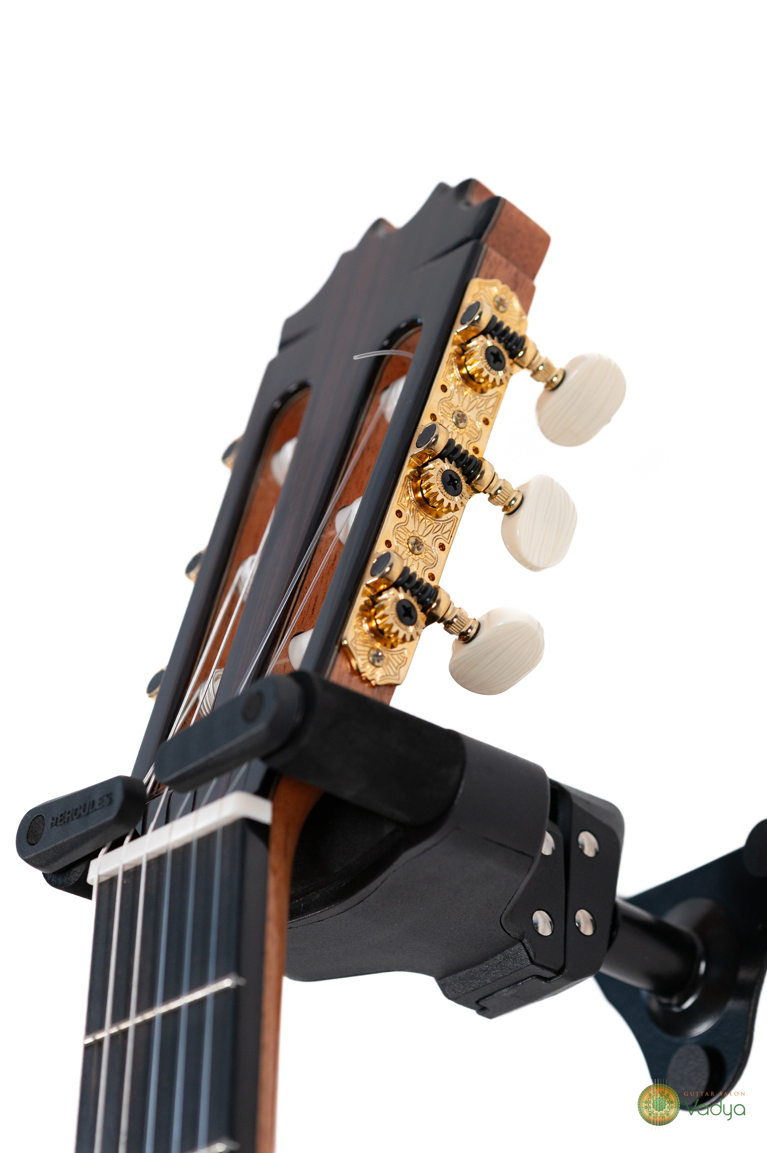 Vadya Virtuoso