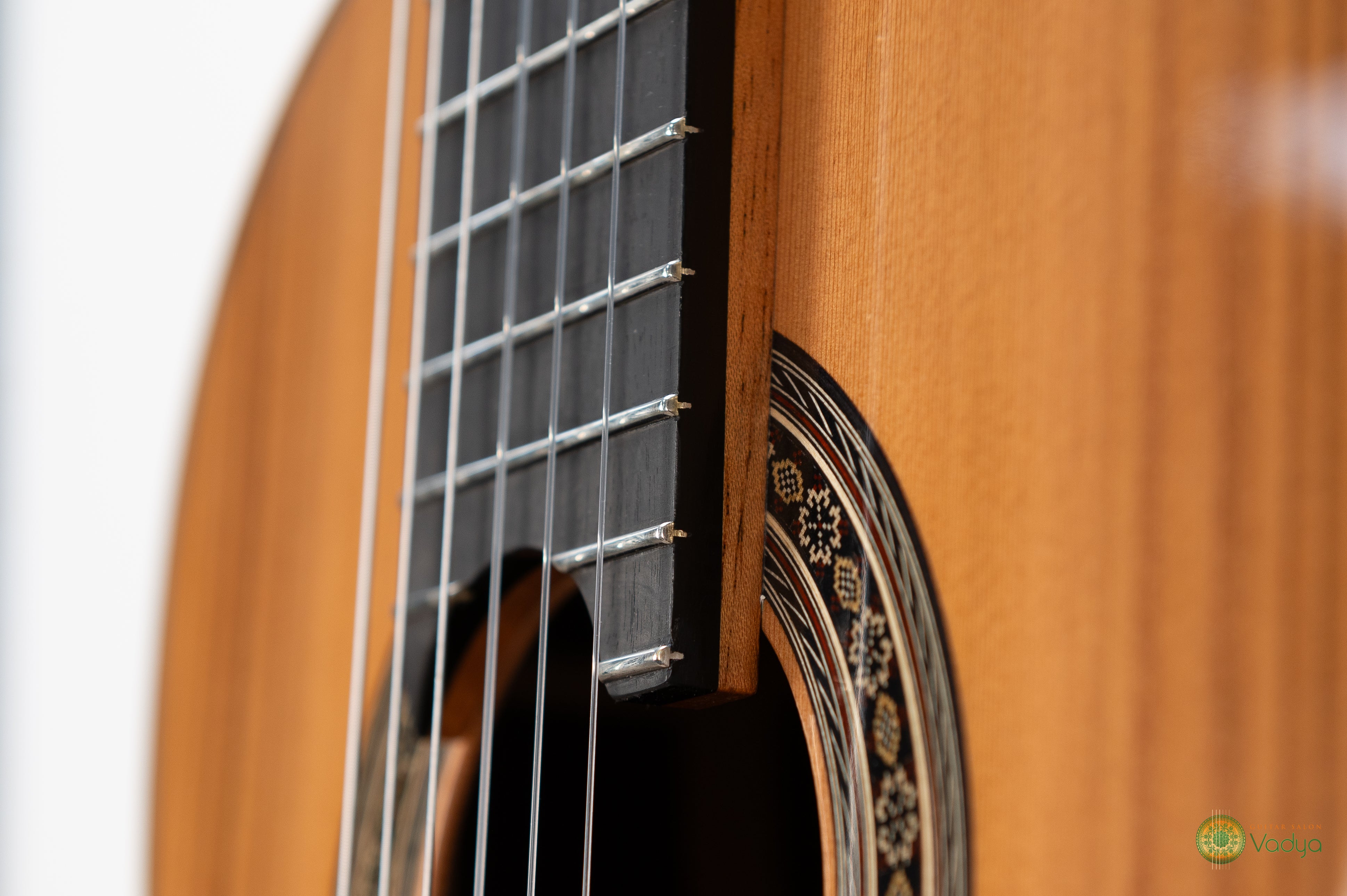 Dragan Neshic “Especial” No. 4.2026 – Double-Top Concert Guitar
