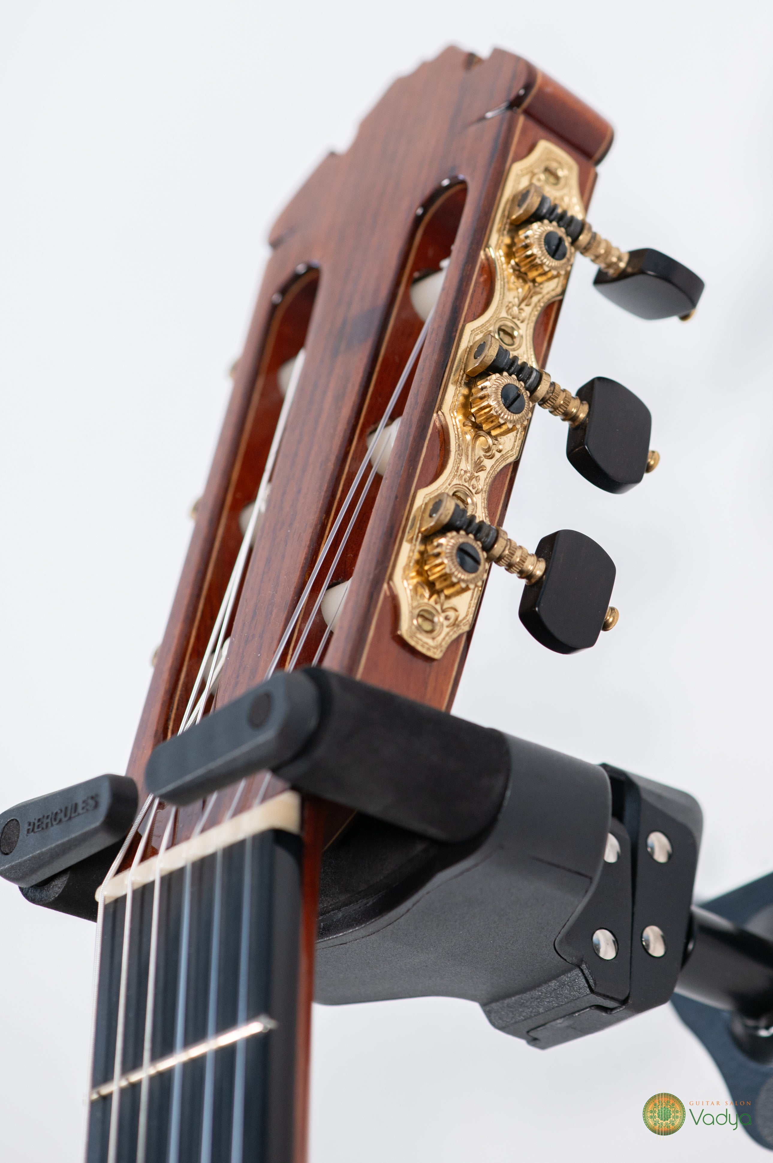 Jan Schnieder DT Nr. 483 (2019)