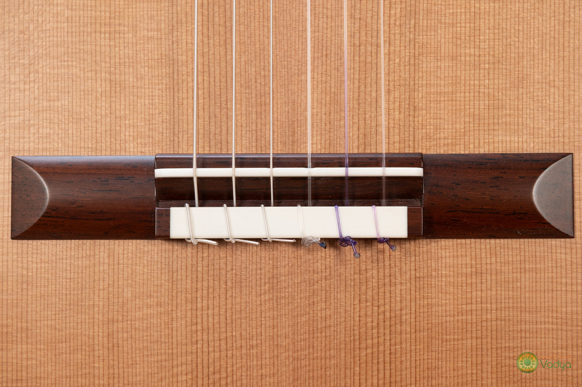 Zbigniew Gnatek 2026 Cedar Concert Guitar