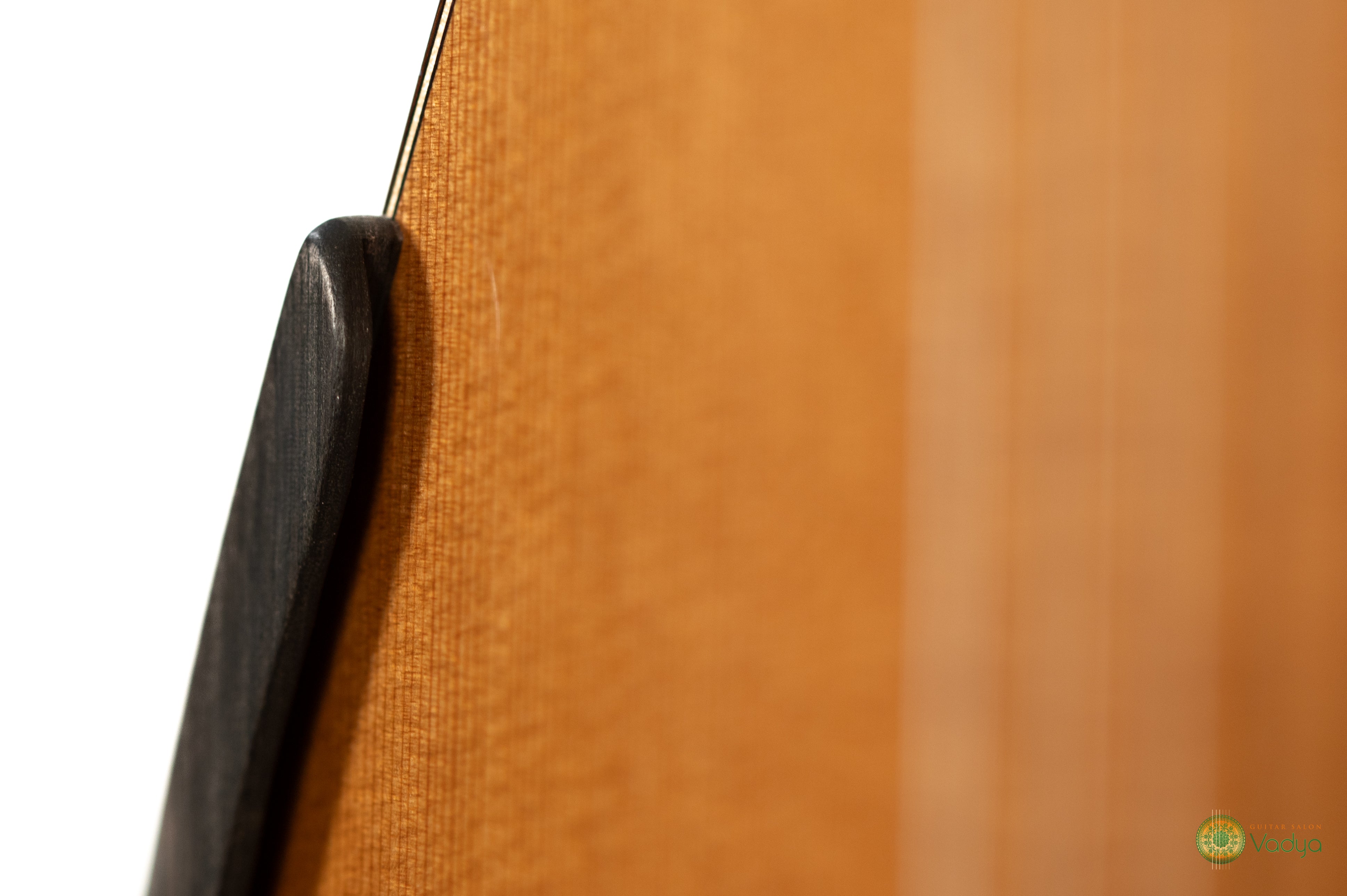 Yulong Guo - 2024 Chamber Concert - 40th Anniversary