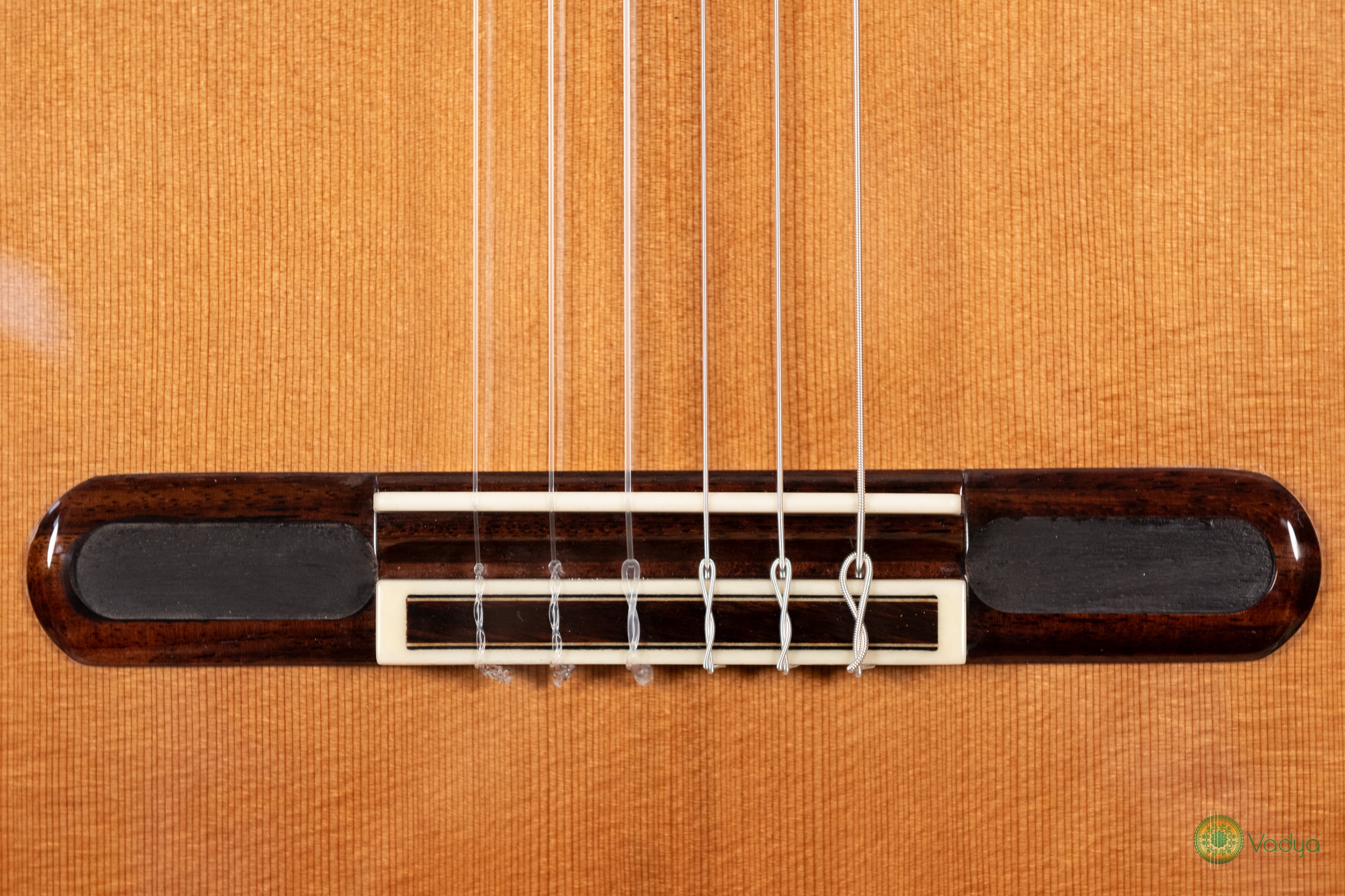 Yulong Guo Chamber Concert – Levičarska Double Top Koncertna Kitara